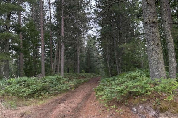 Calhane Grade
