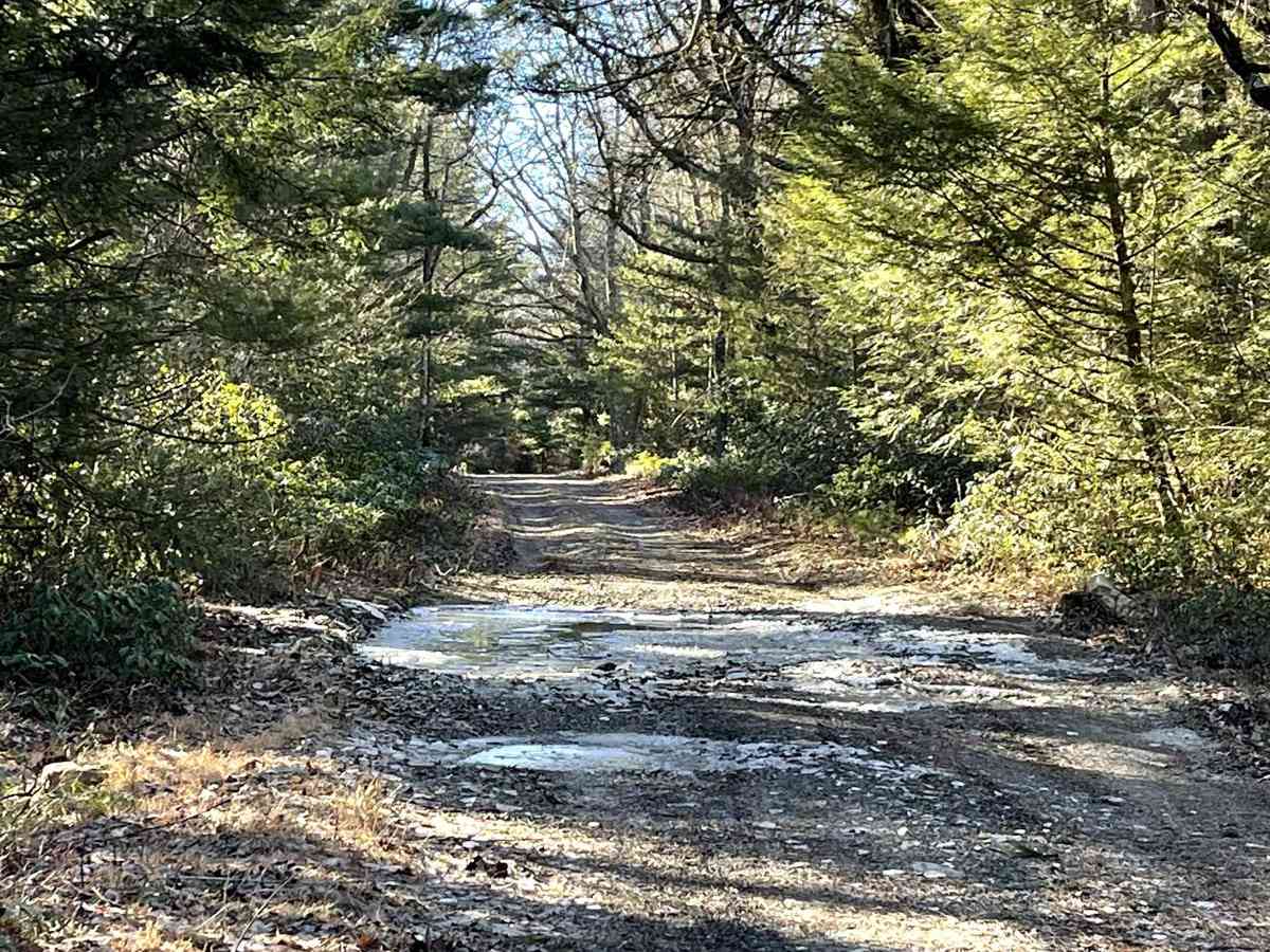 Knob Ridge Road Drivable Trail photo 2