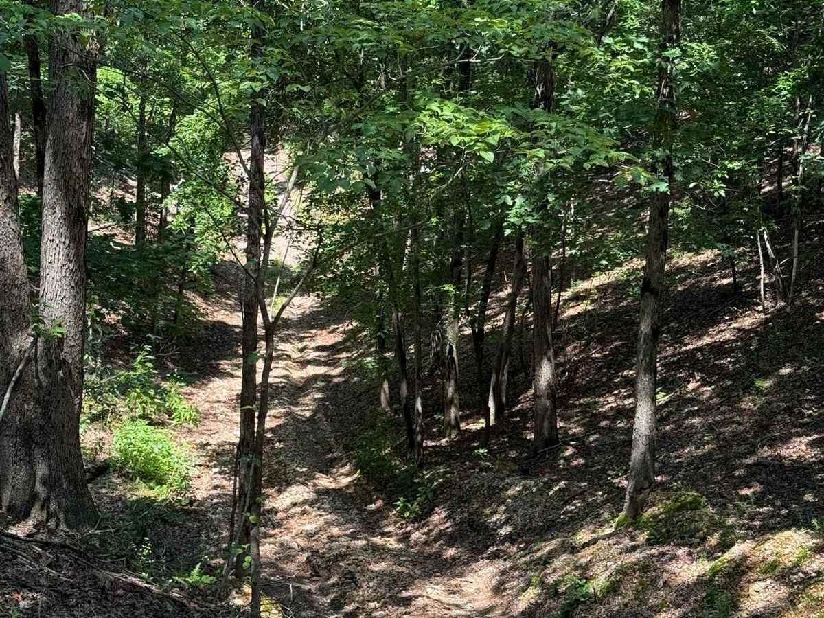 Joey's Trail photo 4
