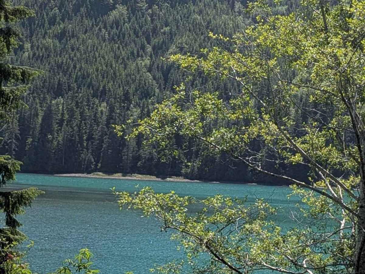 Klaskino Inlet photo 5