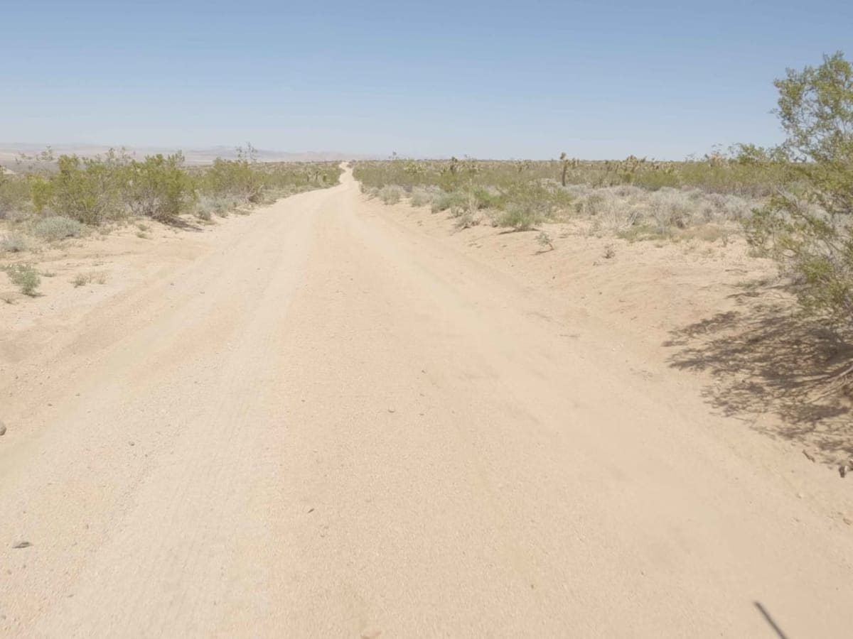 BLM C3524 photo 3