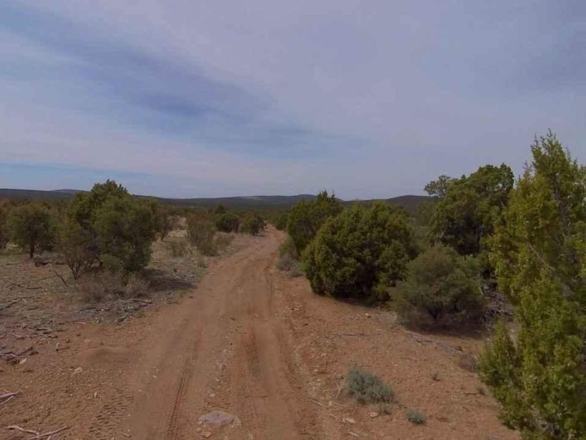 Dixie National Forest-FR30875 photo 2