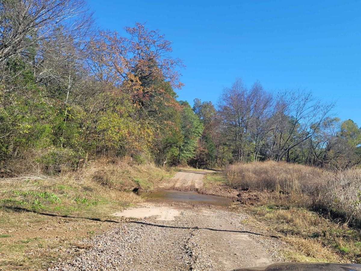 Haw Creek photo 3