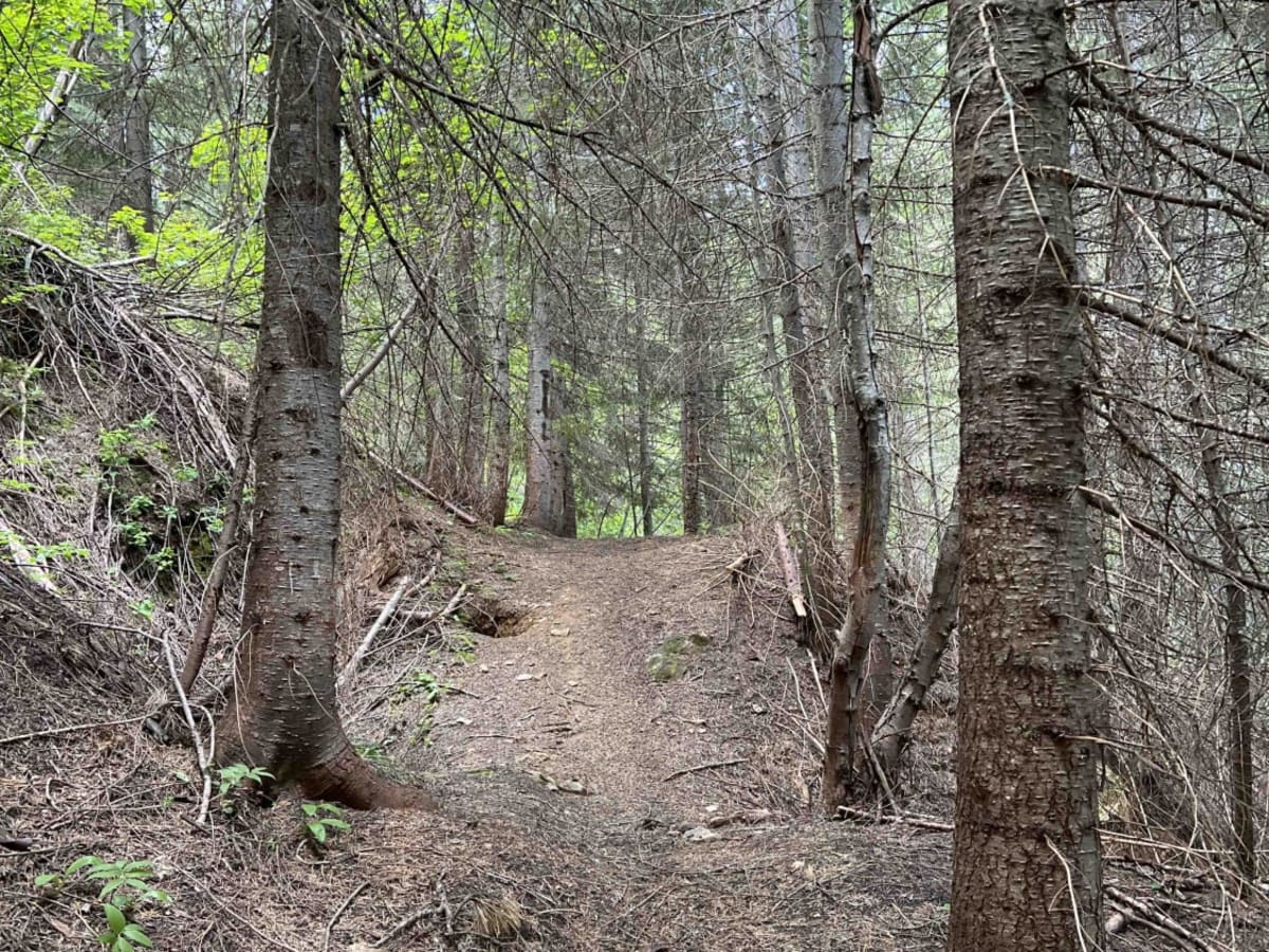 Lucky Swede trail photo
