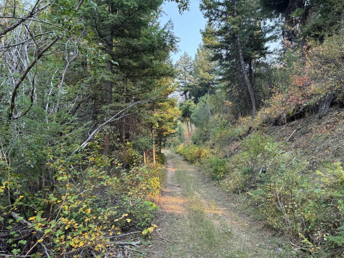 Chaffin Creek Hart Gulch photo 6