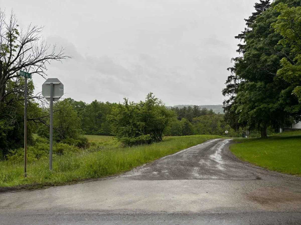 Parker Hill Road photo 5