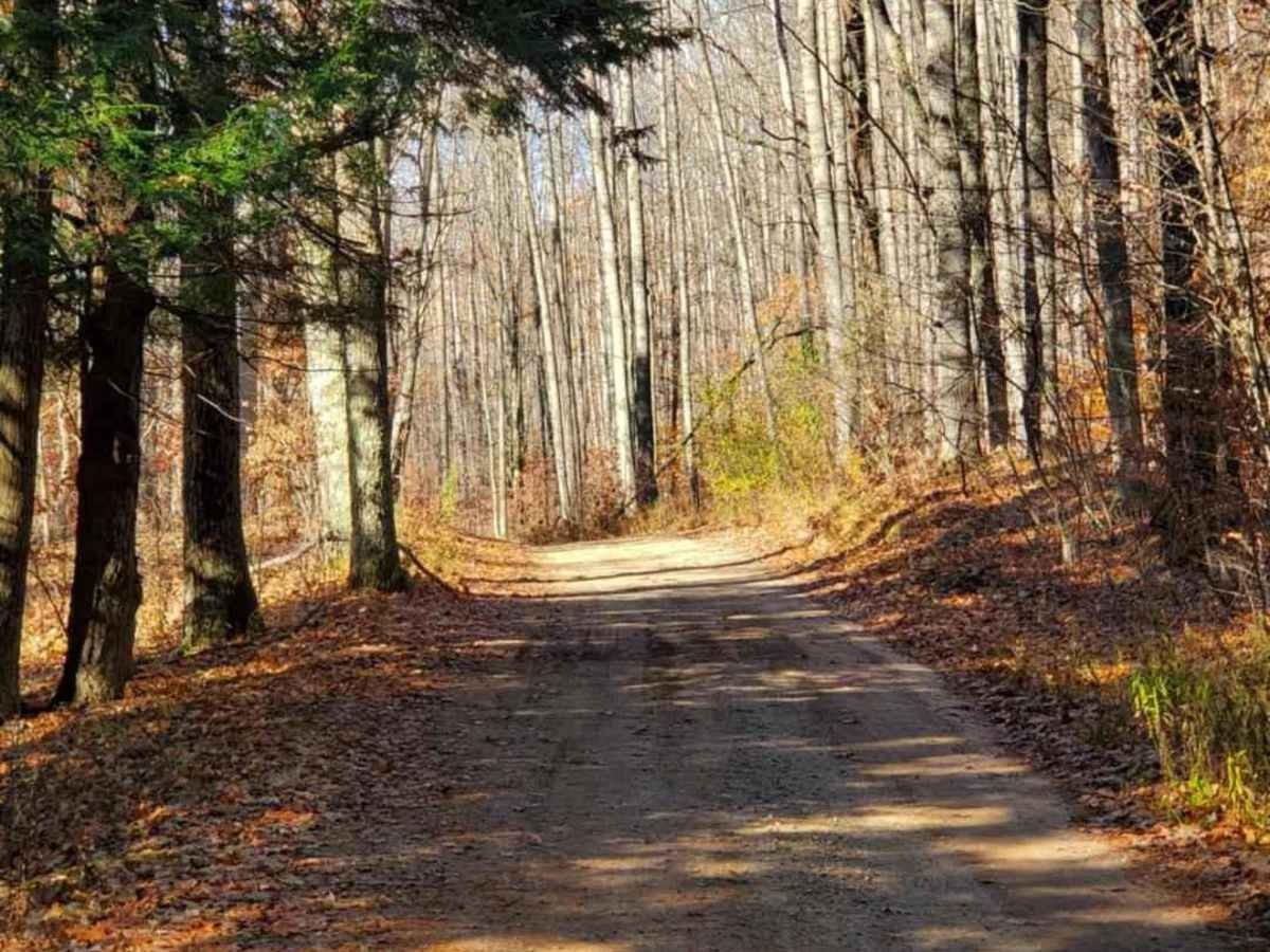 Trail 5321 photo 2