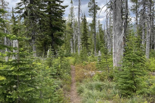 State Line Ridge (7)