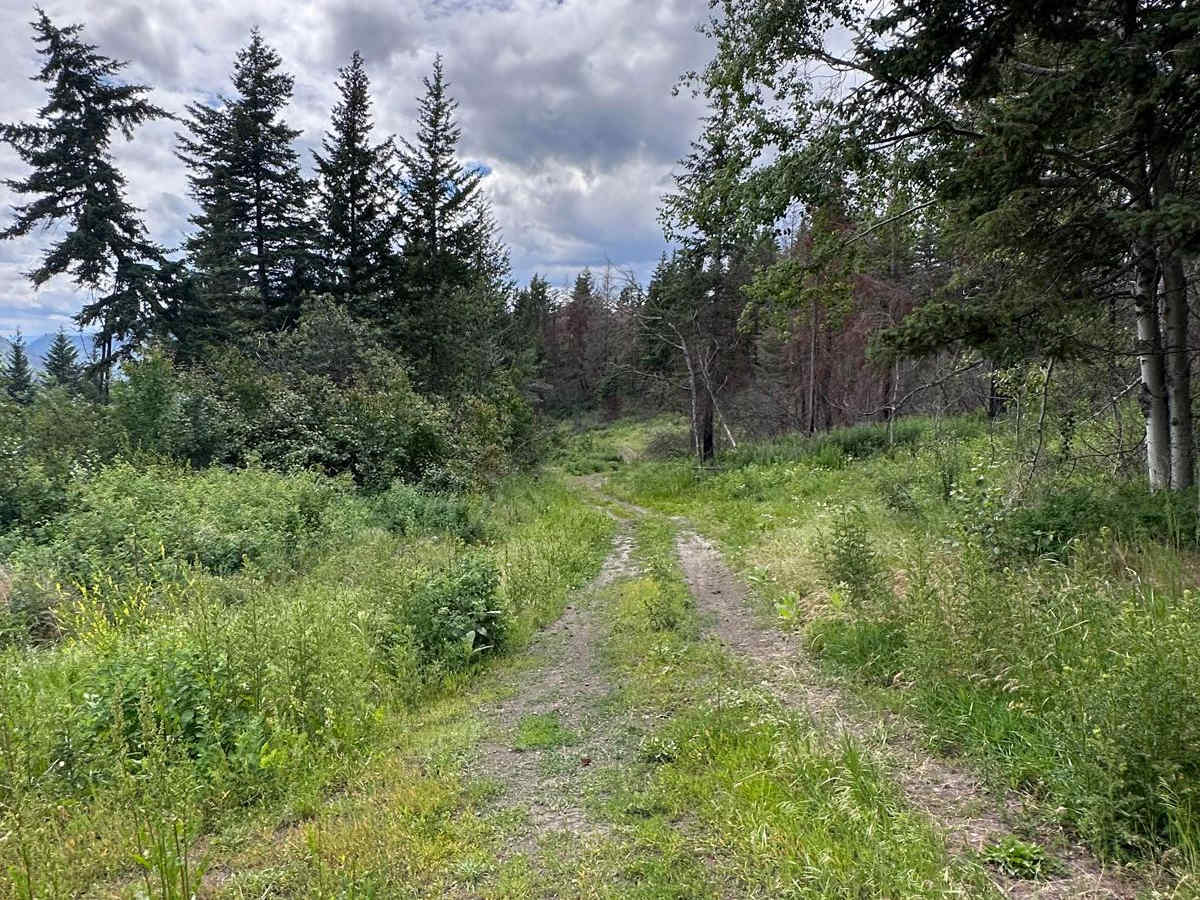 Cain Road photo 5