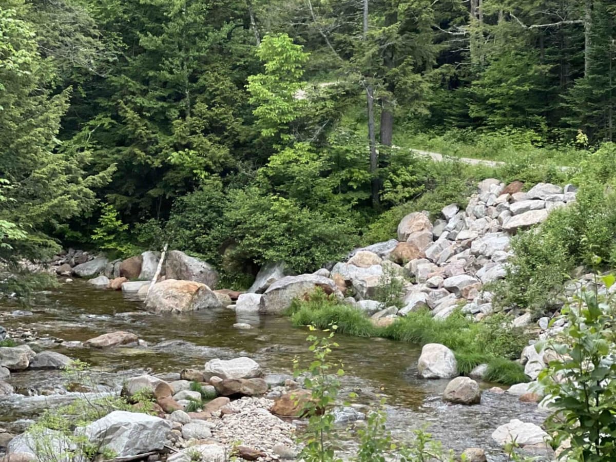 Slippery Brook photo 5