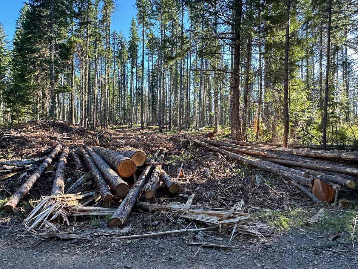 Lower Buck Creek N713 photo 3