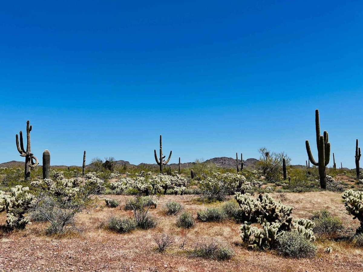 9058 Old Corral trail photo