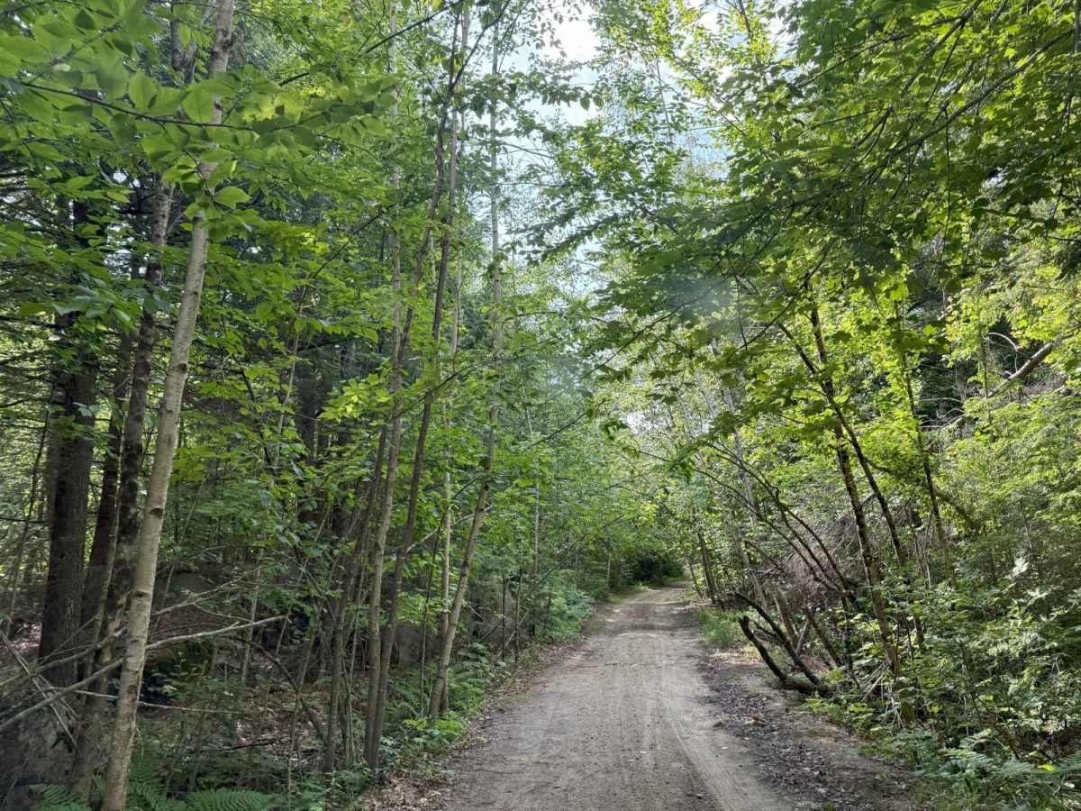 Caverly Road to Devil's Den Road photo 2