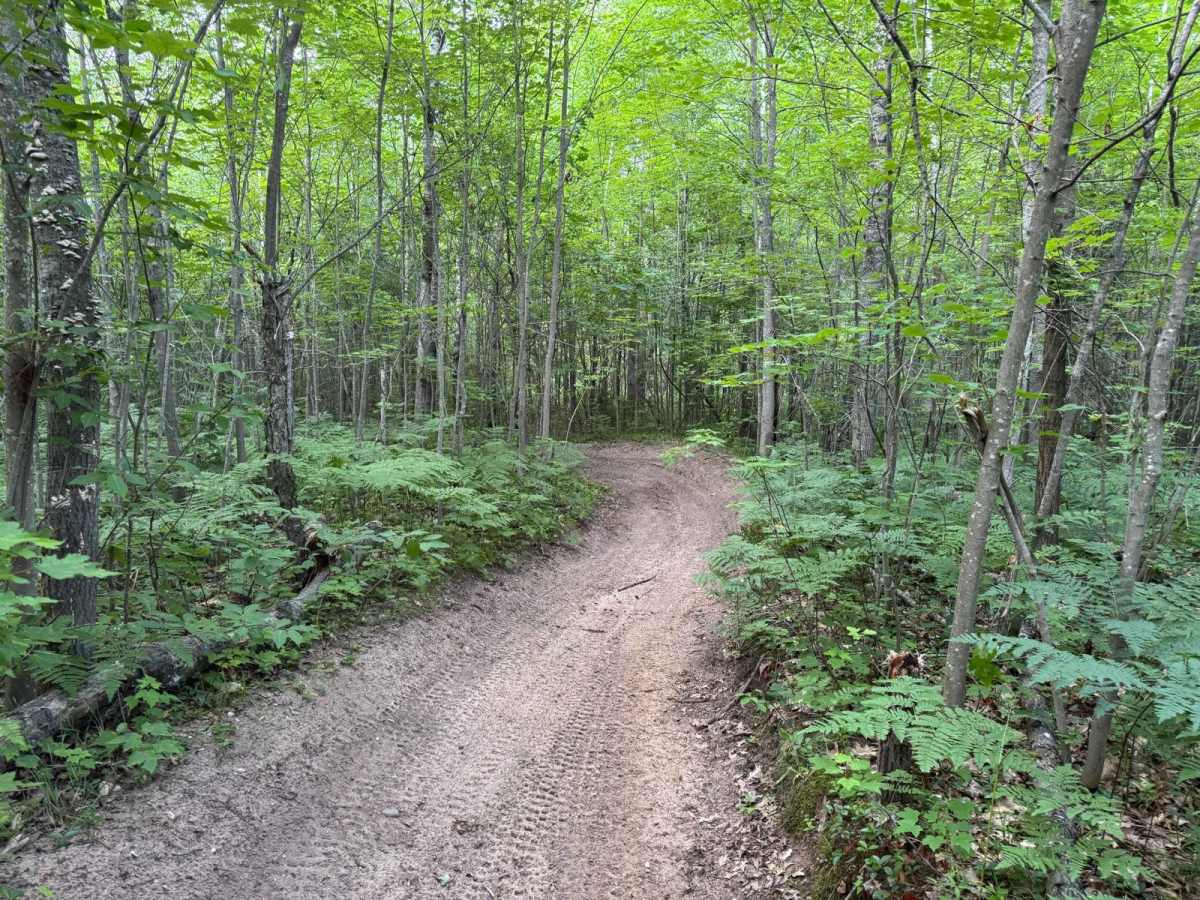Leetsville ORV Trail photo 5