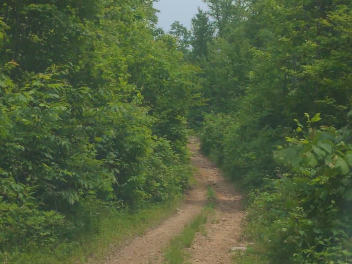 Senneth Cemetery Rd photo 5