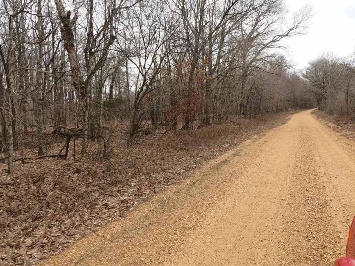 Brush Creek Road photo 3