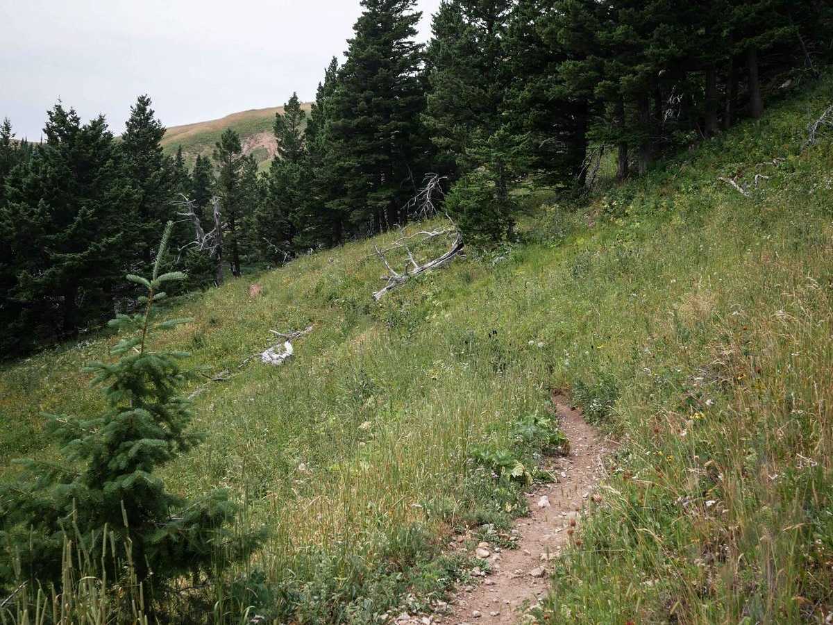 Upper Brackett Creek photo 6