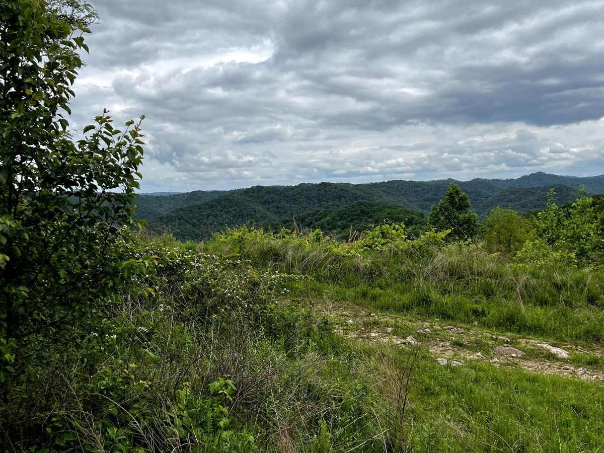 Wild Horse Trail (Lige Hollow) photo 3