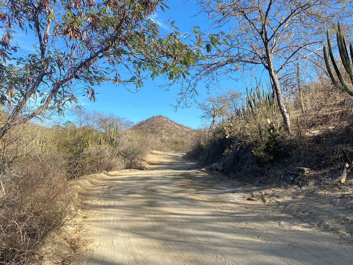 Ruta Jesus Maria photo 2