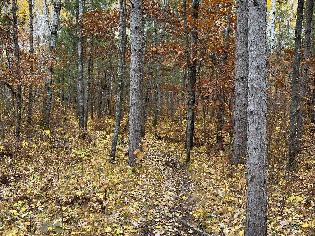 Huntersville Western Single Track Loop photo 2