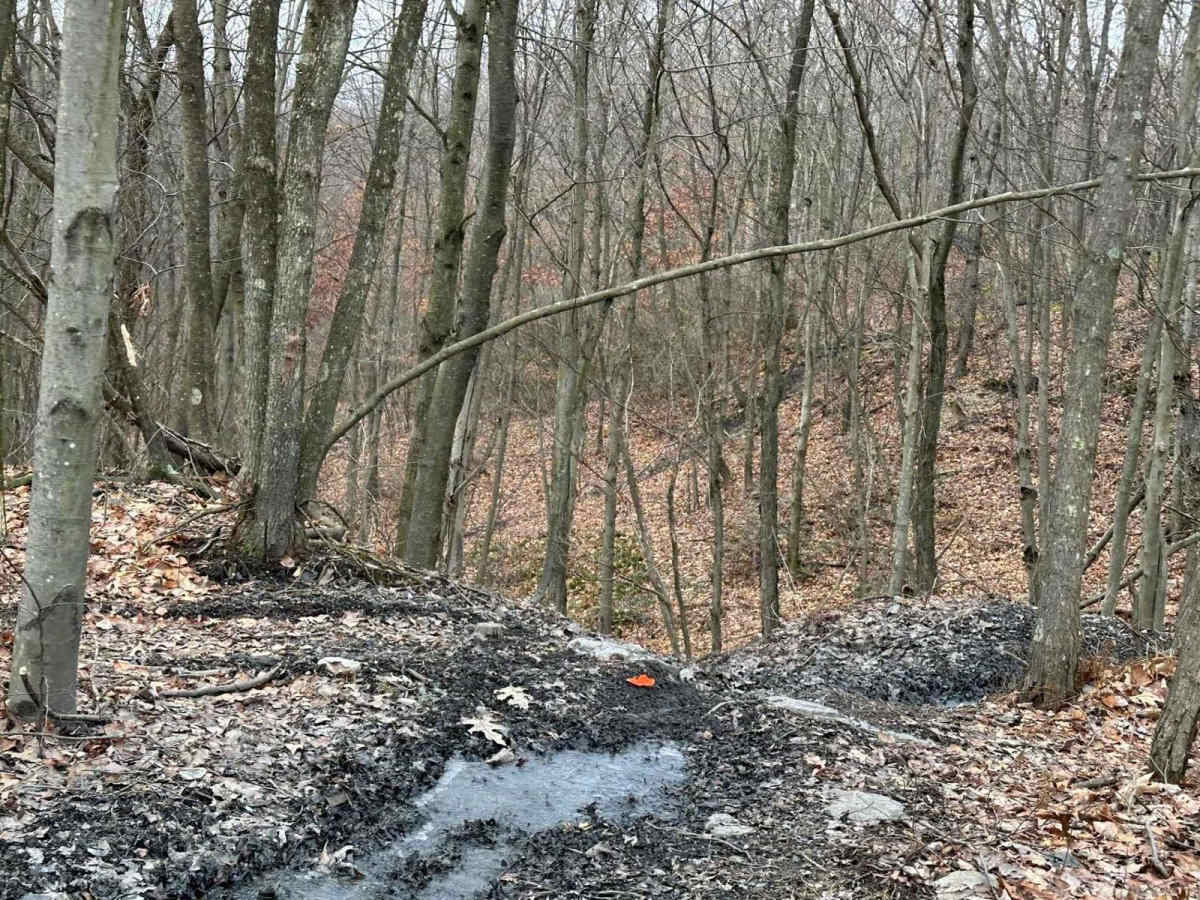 Locust Gap Single Track 4 Part 1 trail photo