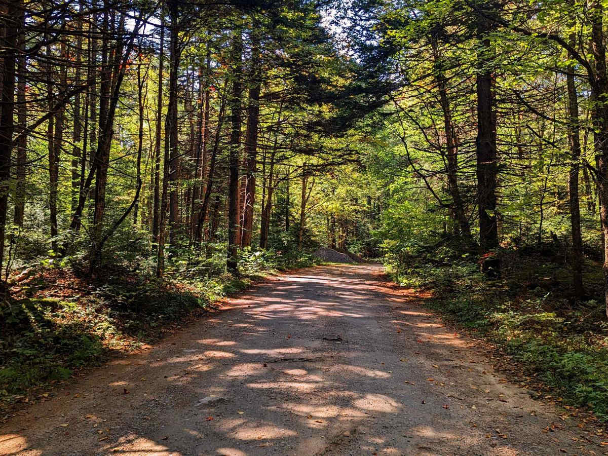 Limekiln Lake Trail trail photo