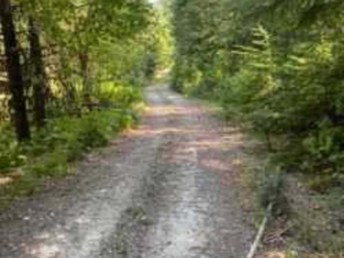 Ruby Creek photo 4