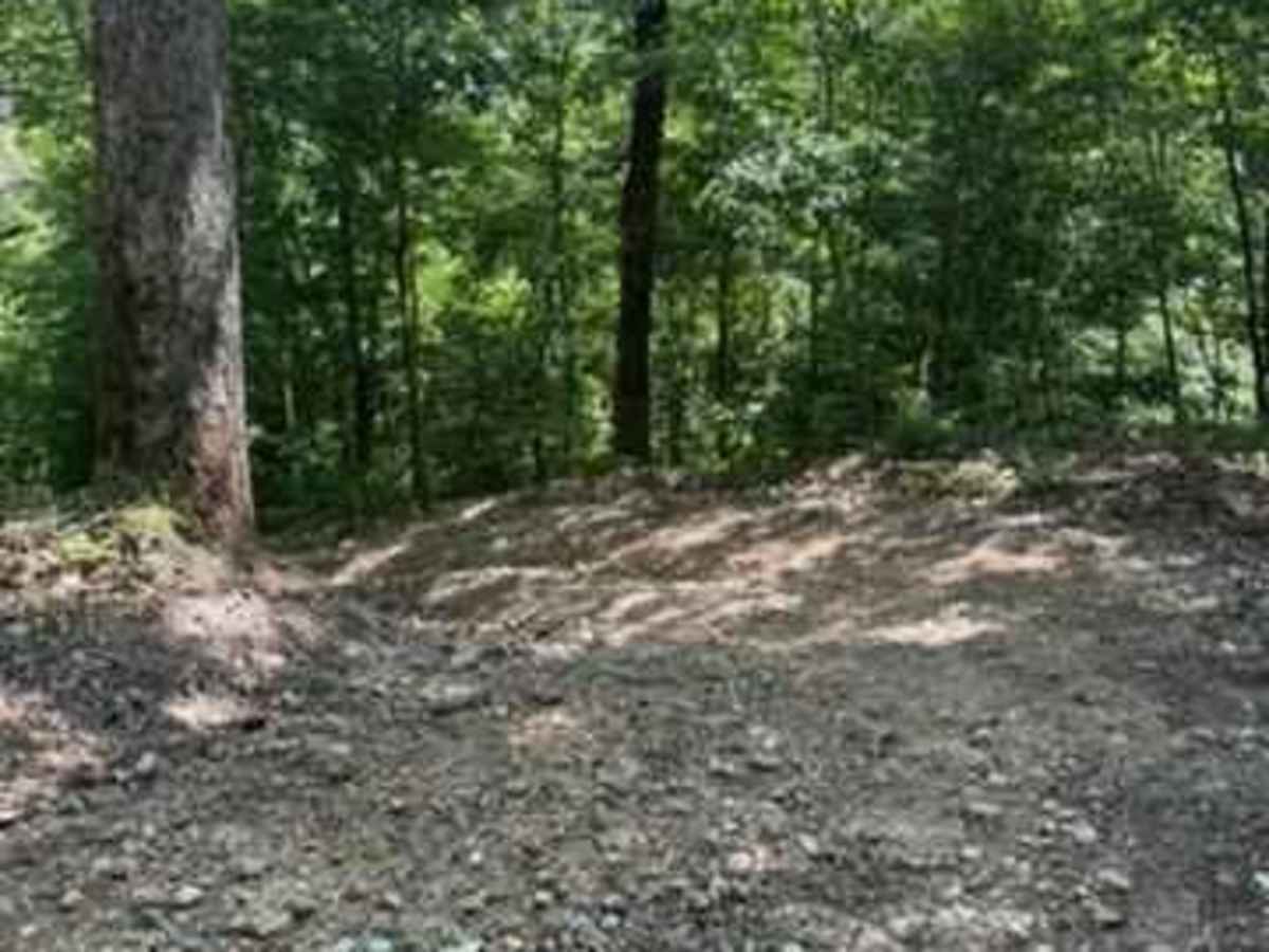 Jay's Trail photo 3