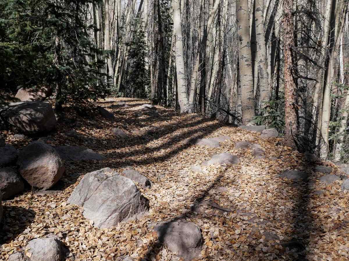 Bear Creek ATV 709 trail photo