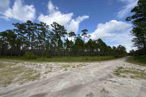 McCloskey-Still - Osceola NF 236
