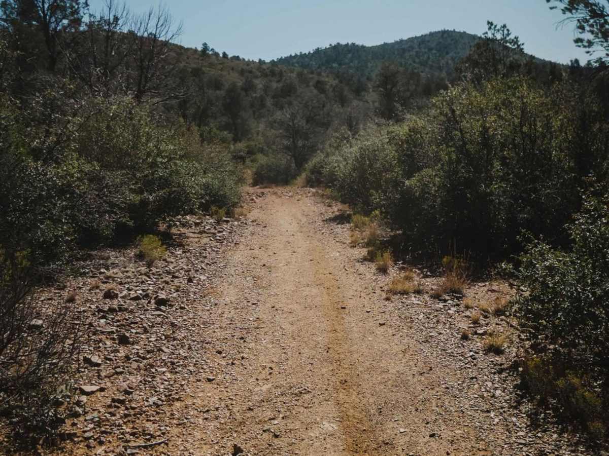 Salida Connection photo 4