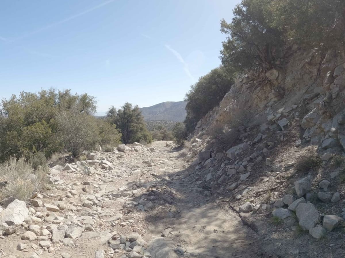 Smart Spring - 3N07Y trail photo