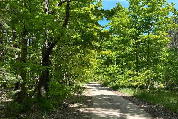 Oviatt Road
