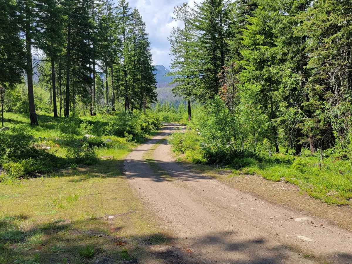 NF 400 - Buttermilk Butte trail photo