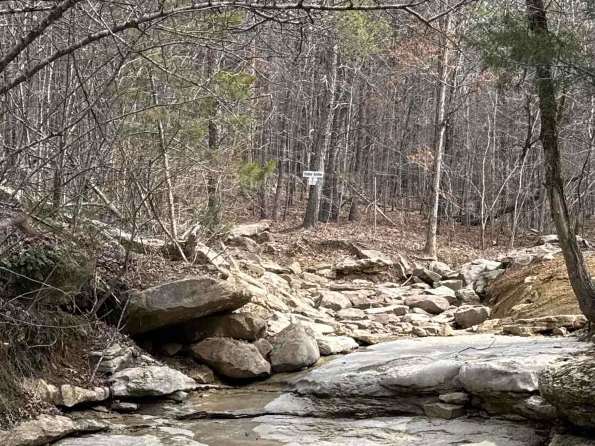 #7 Diamondback - Beginning Section photo 5