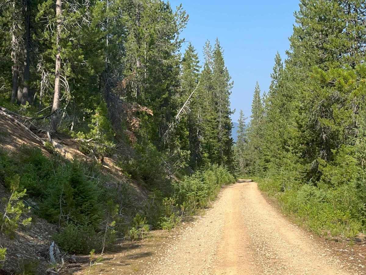 Cedar Mountain 389 photo 6