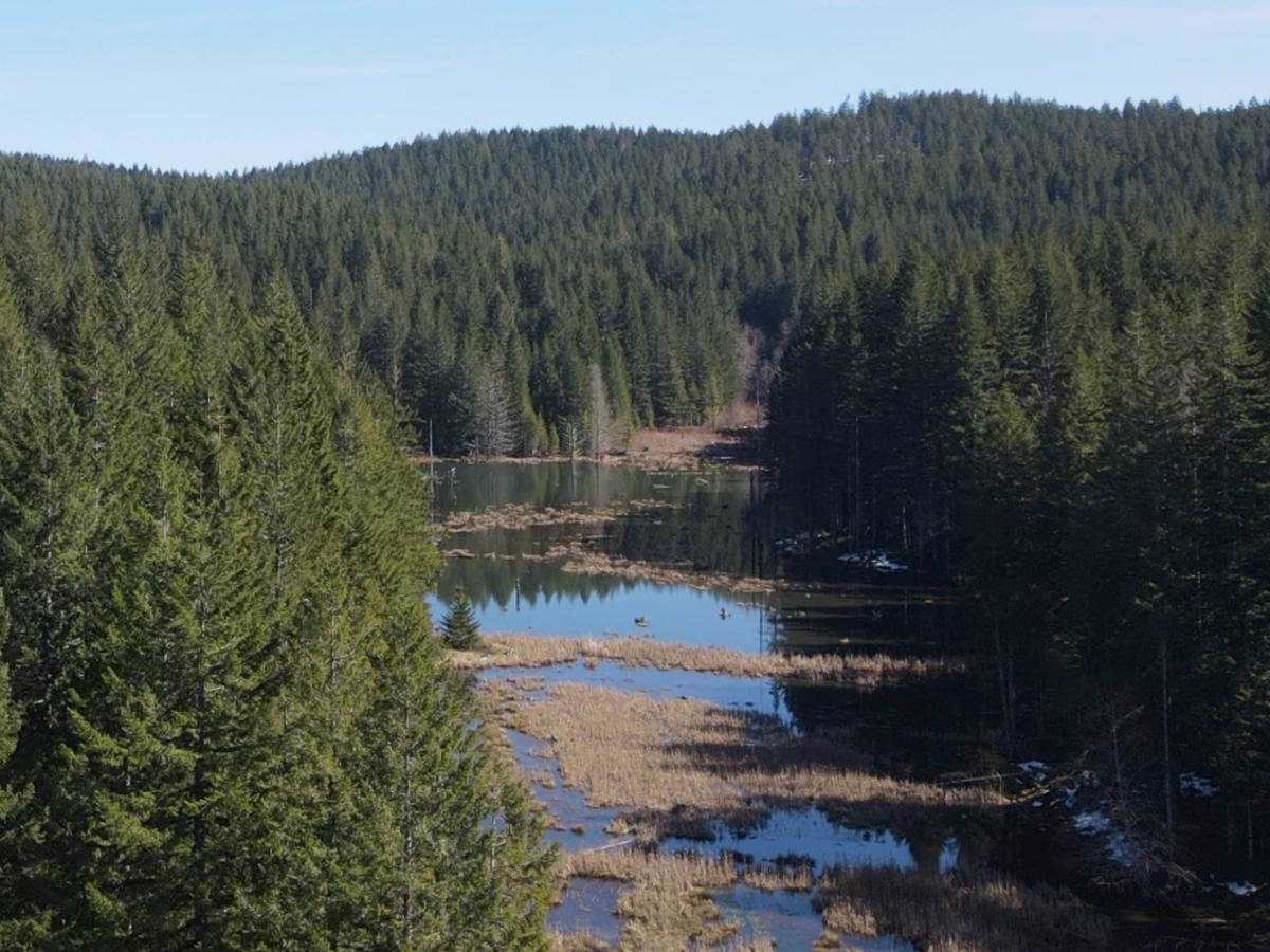 Yamhill Reservoir to Barney Reservoir photo 4