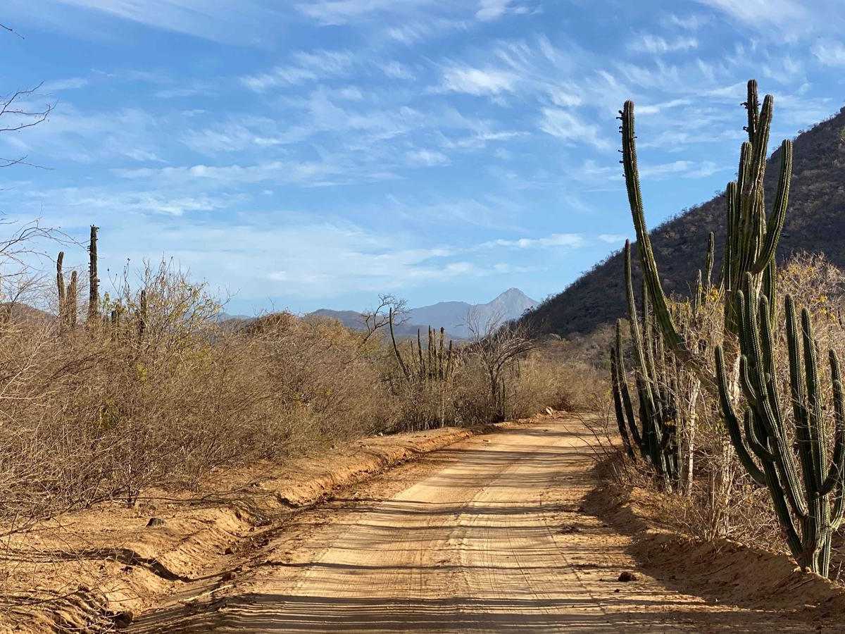 El Paso photo 2