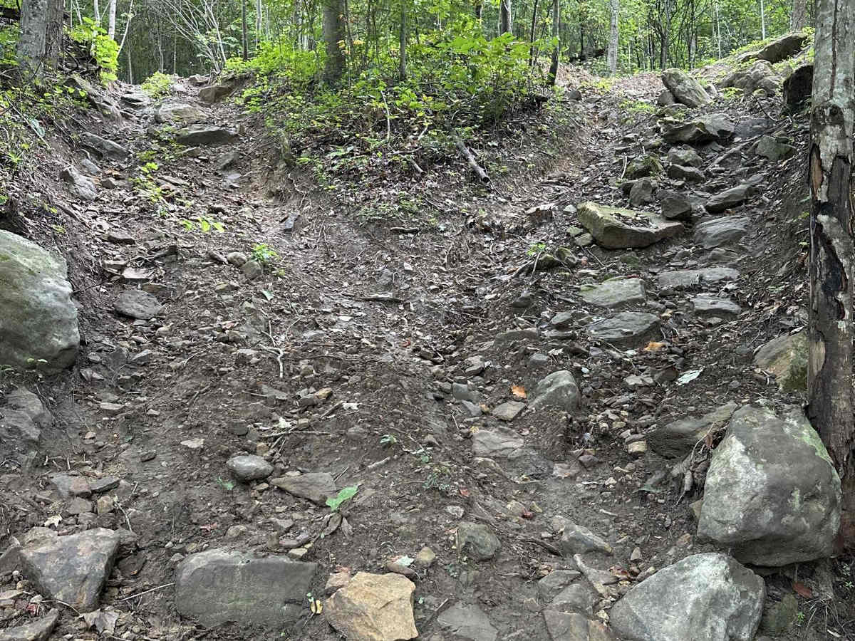 Who's your daddy?- Leatherwood Off Road Park photo 4
