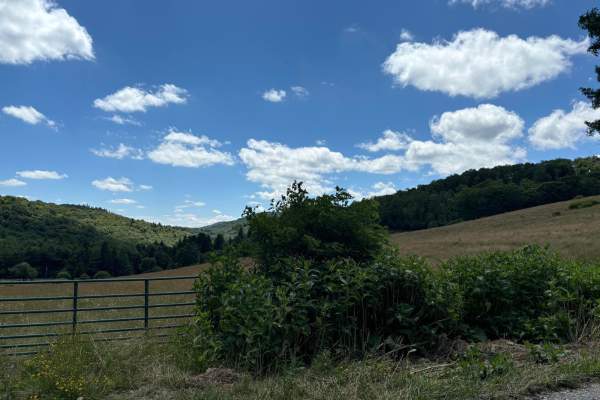Spruce Mountain Trail
