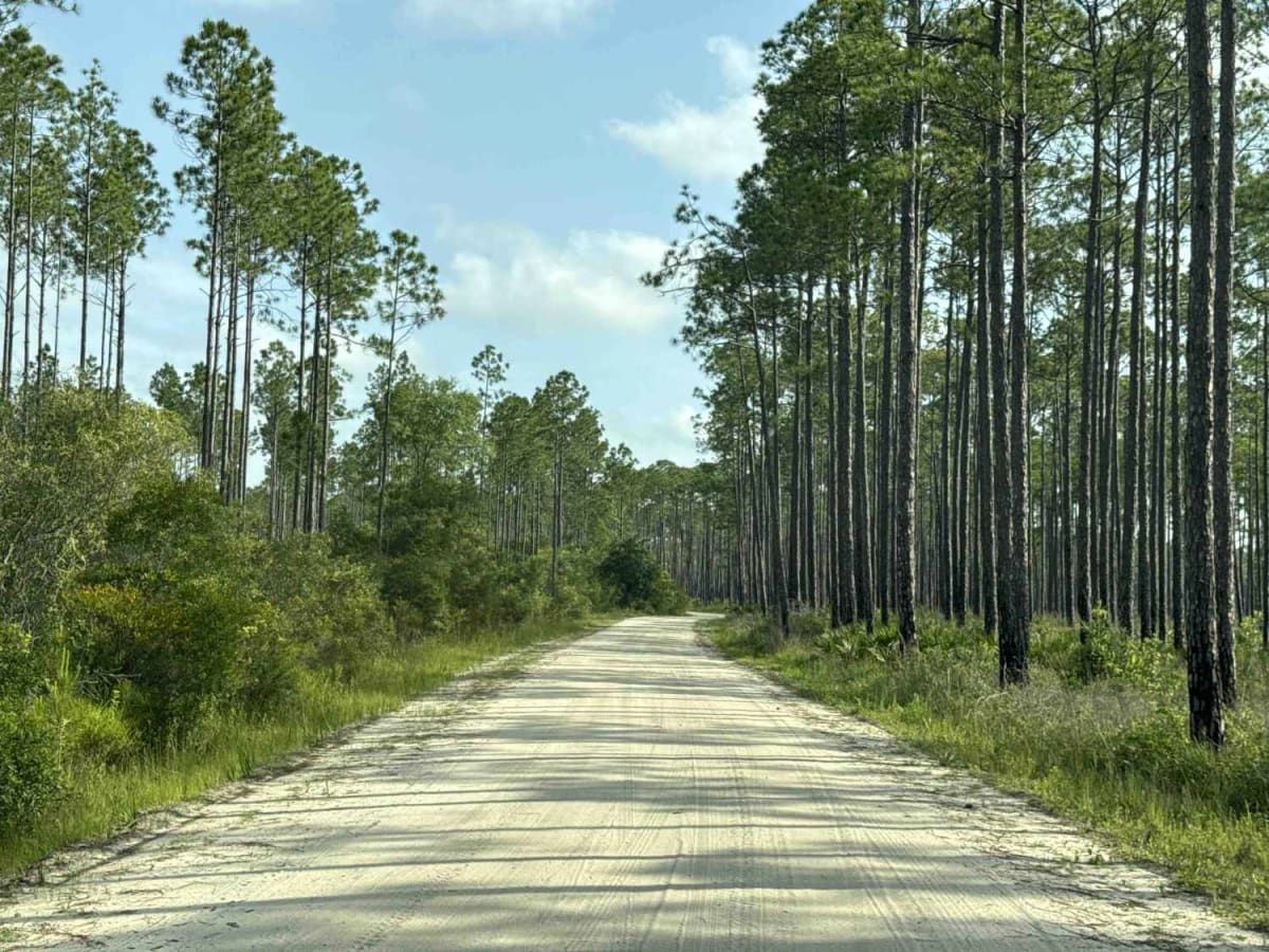 West River Road trail photo