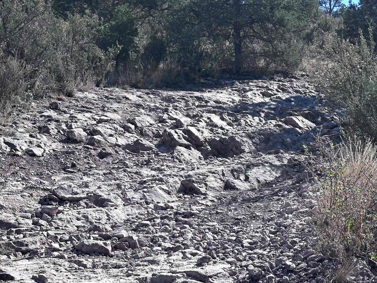 Smiley Rock Trail photo 6