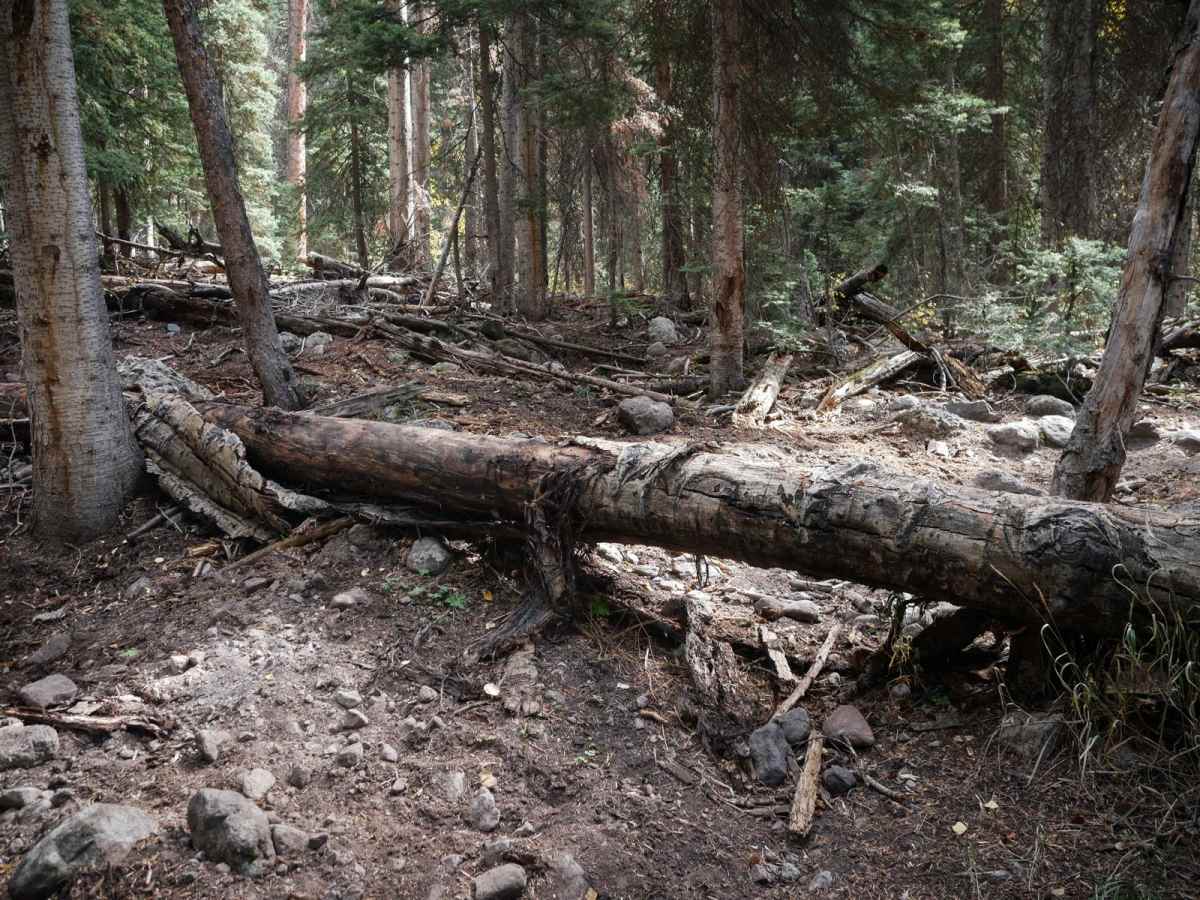 Nate Creek photo 4