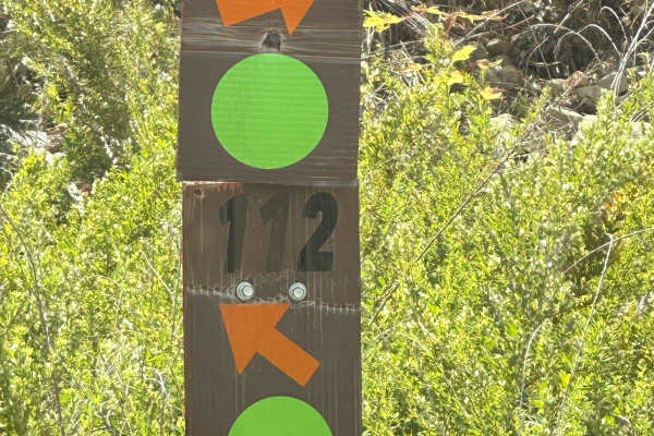 112