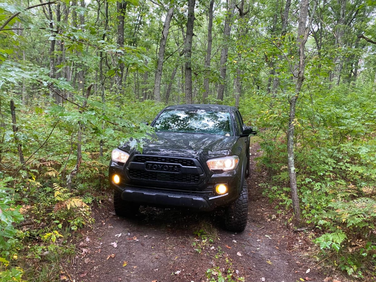 Ward Hills Loop trail photo
