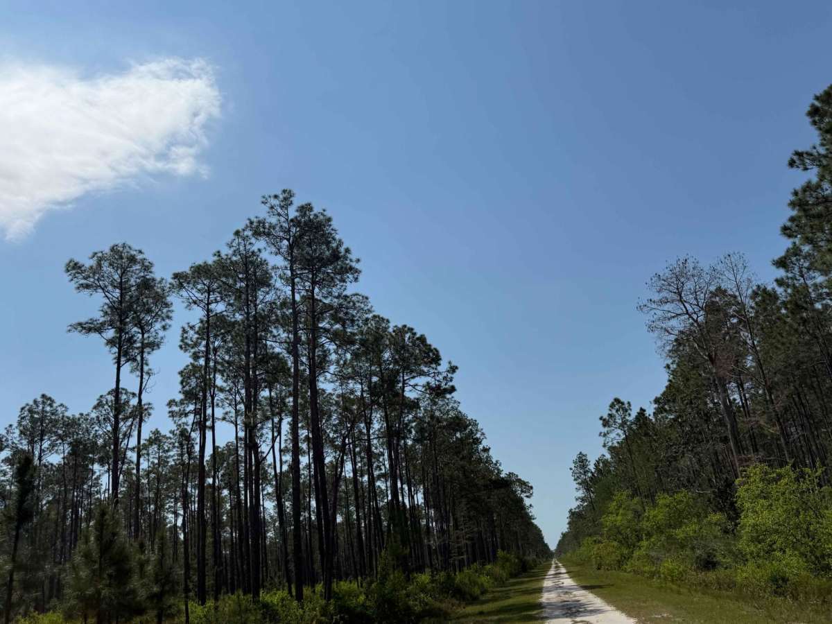 Oil Well Road - SFR 29 photo 4