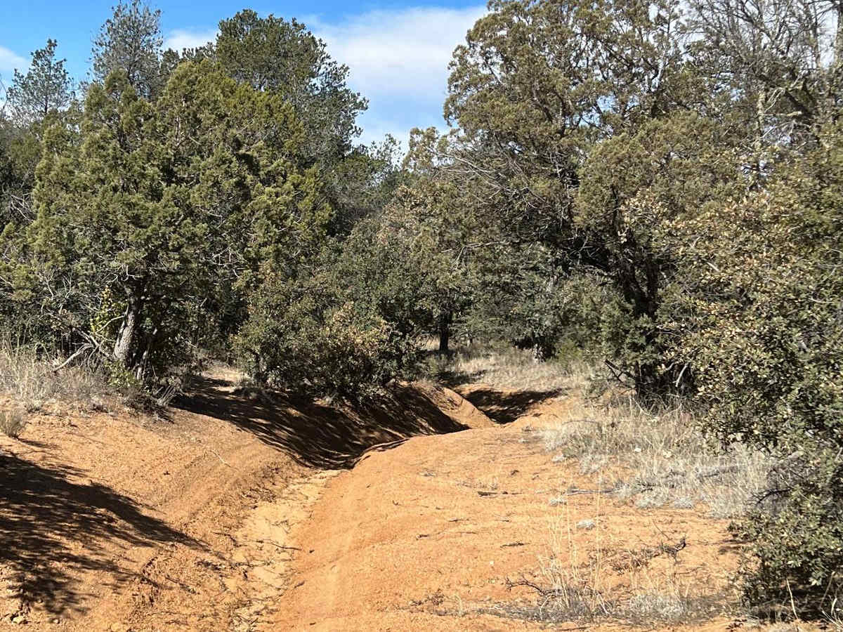 FS 4250 R for Ruts trail photo