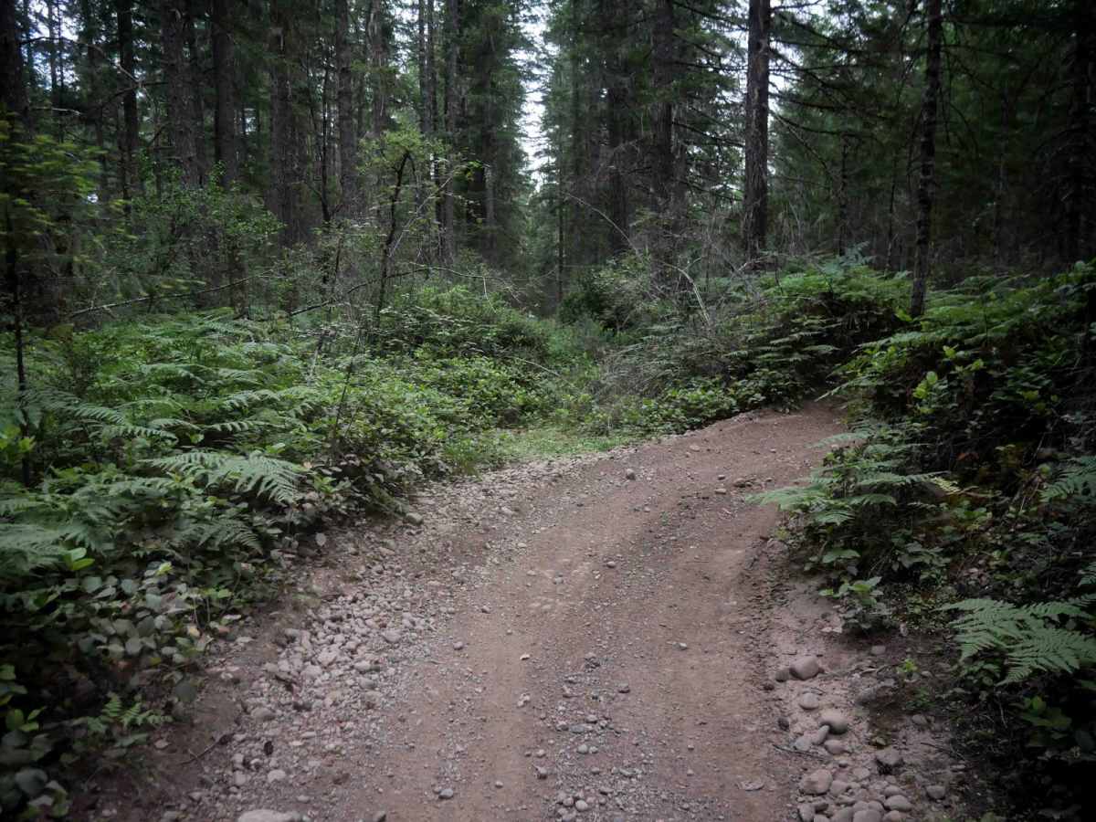 Staging Access Trail photo 4