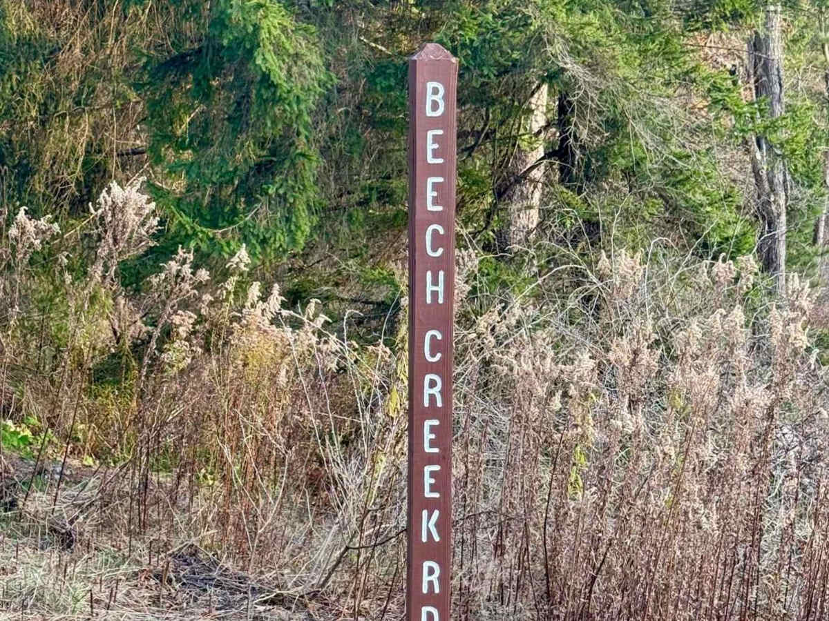 Beech Creek Road photo 5
