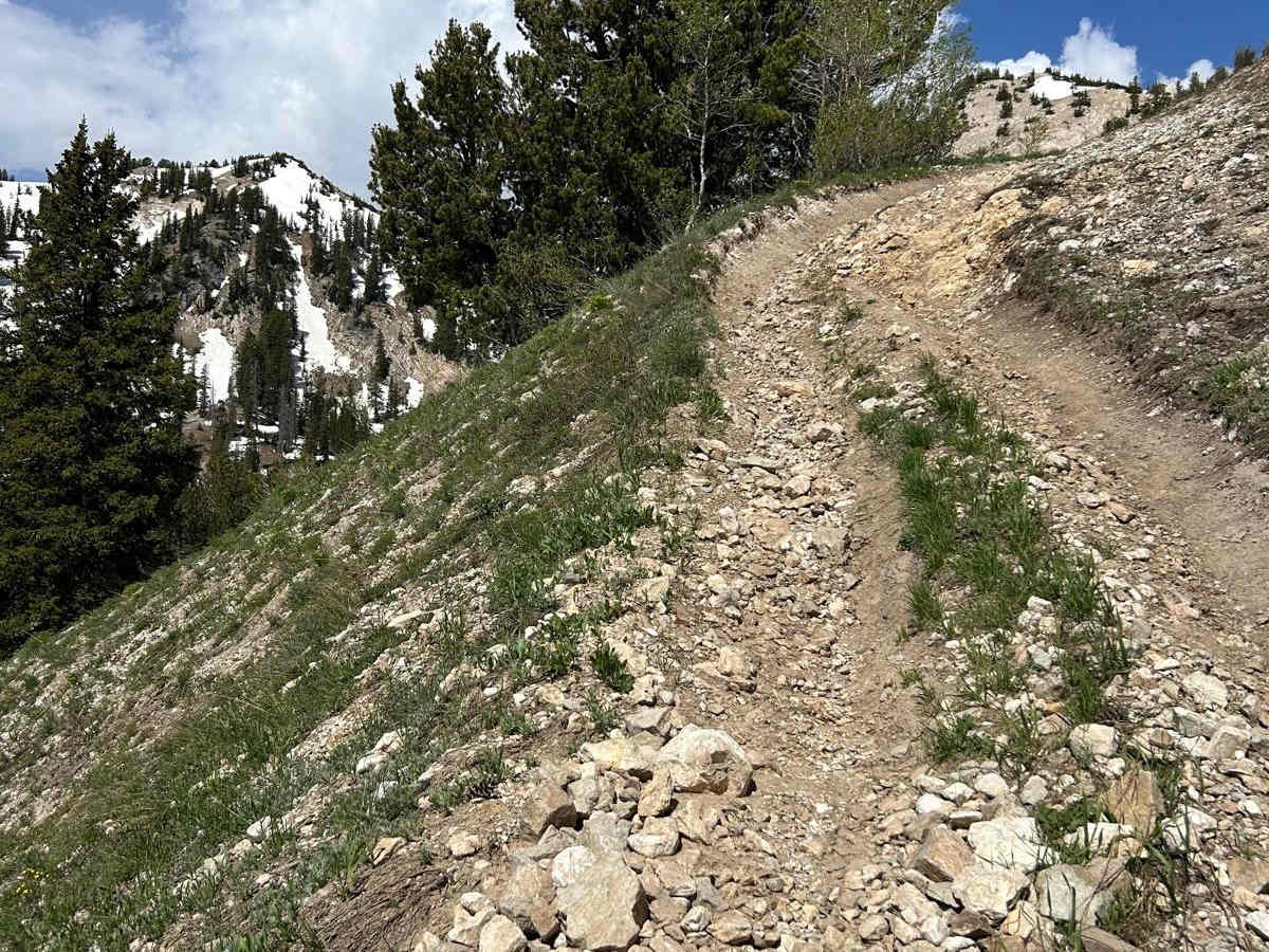 Mill Flat Gulch photo 2